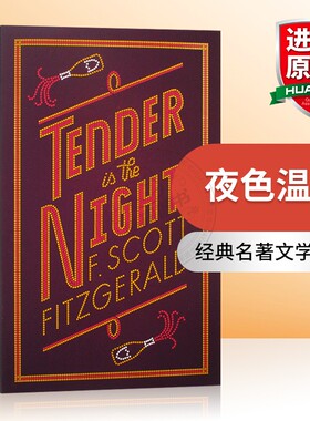 夜色温柔 英文原版 Tender is the Night 经典名著文学小说 菲茨杰拉德 F Scott Fitzgerald 中小学生课外阅读 英文版进口英语书