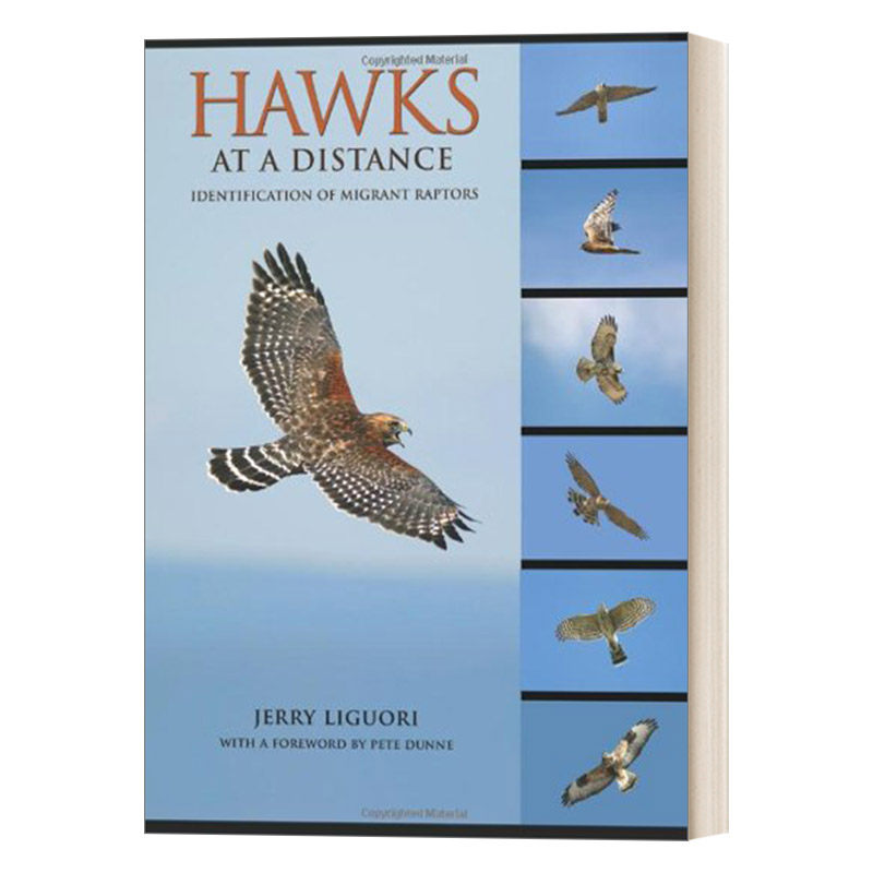 远处的鹰 英文原版 Hawks at a Distance Identification of Migrant Raptors 迁徙猛禽的识别 鸟类指南 Jerry Liguori 英文版