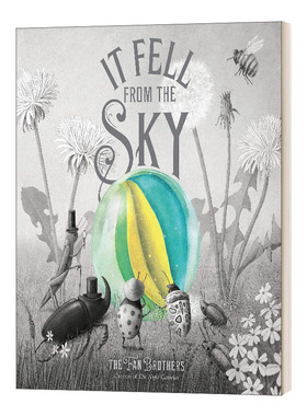 来自天空的你 英文原版绘本 It Fell From The Sky 精装 英文版 进口英语原版书籍