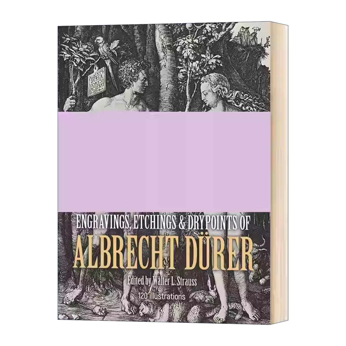 英文原版 The Complete Engravings  Etchings and Drypoints of Albrecht Dürer 丢勒的各式版画合集 英文版  丢勒作品合集