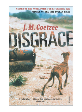 英文原版小说 Disgrace 耻 JM库切 诺贝尔文学奖作家 英文版 进口英语原版书籍