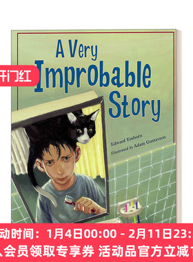 一个可能性很小的故事 英文原版 A Very Improbable Story 概率问题 7-10岁数学探险故事 理解数学概念 英文版 进口英语原版书籍