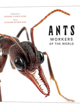 英文原版 Ants Workers of the World 蚂蚁 世界工人 科普启蒙艺术精装画册 英文版 进口英语原版书籍