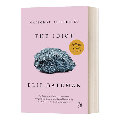 英文原版小说 The Idiot 白痴 现代小说 2018普利策小说奖入围 英文版 进口英语原版书籍