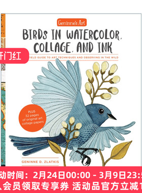 吉宁娜的艺术 英文原版 Geninne's Art Birds in Watercolor Collage and Ink 水彩 拼贴和水墨画中的鸟类 艺术技巧和野外观察