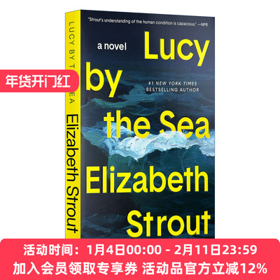 英文原版 Lucy by the Sea 海边的露西 奥丽芙·基特里奇作者 普利策奖得主伊丽莎白·斯特劳特Elizabeth Strout 英文版