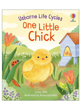 英文原版 Life Cycles One Little Chick 小鸡的生命循环 儿童科普启蒙STEM互动图画书 英文版 进口英语原版书籍
