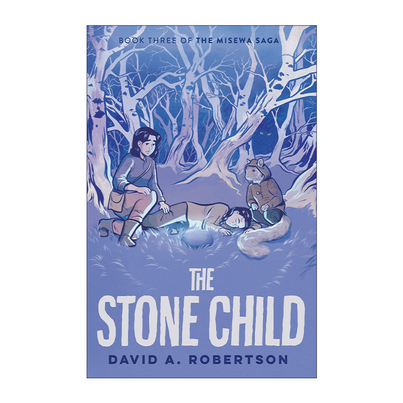 英文原版 The Misewa Saga 03 The Stone Child米塞瓦传奇03石头孩子儿童奇幻土著文化小说 David A. Robertson进口英语书籍