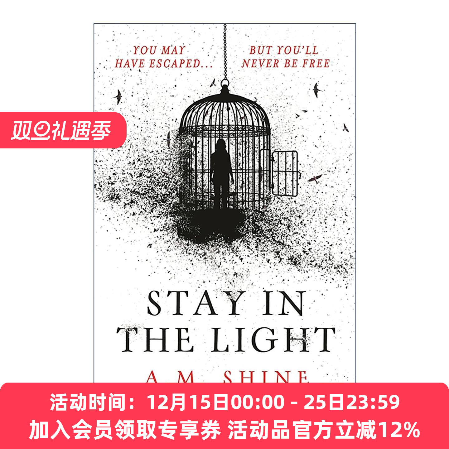 英文原版 Stay in the Light 光明遗影 神秘窥视续篇 A.M. Shine畅销惊悚小说 达科塔·范宁主演同名电影原著 进口英语原版书籍