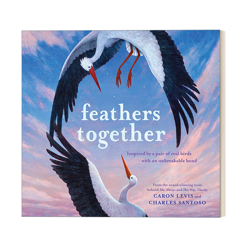 永远在一起 英文原版绘本 Feathers Together 儿童动物故事精装绘本 Charles Santoso 英文版 进口英语原版书籍