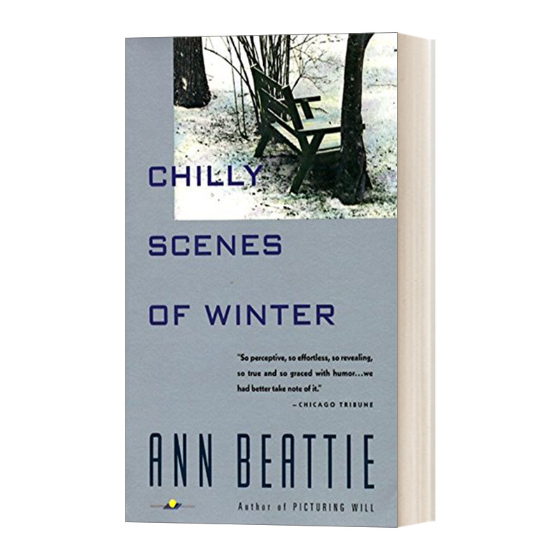 华研原版 英文原版小说 Chilly Scenes of Winter Vintage Contemporaries 萧瑟冬景 Ann Beattie 英文版 进口英语原版书籍