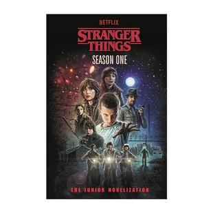 小说 书籍 Things 进口英语原版 英文版 青少年版 怪奇物语第一季 One Season Stranger 英文原版