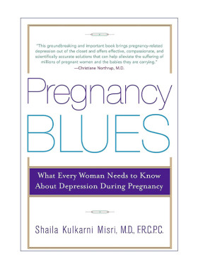 英文原版 Pregnancy Blues 孕期抑郁 每个女人都需要知道的孕期抑郁症 妊娠 女性心理健康 Shaila Kulkarni Misri进口英语原版书籍