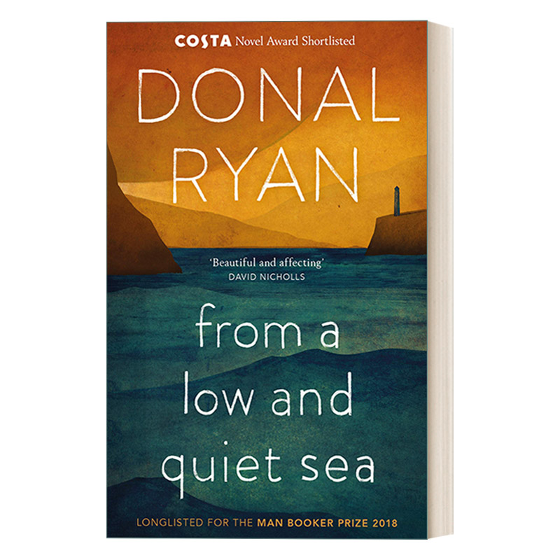 英文原版小说 From a Low and Quiet Sea 来自静谧的浅海 多纳尔·瑞安 布克奖提名 让·莫内欧洲文学奖 英文版 进口英语原版书籍