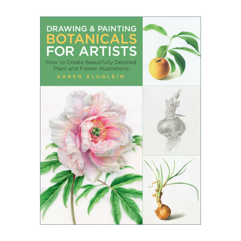 英文原版 Drawing and Painting Botanicals for Artists艺术家的植物素描和绘画 如何创作精美的植物和花卉插图 英文版进口英语书