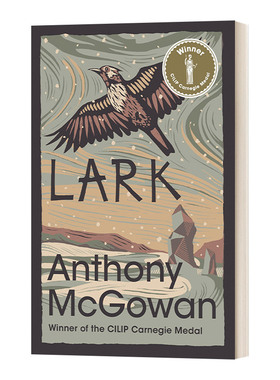 英文原版 Lark 当如云雀高唱 英国卡内基儿童写作奖 Anthony McGowan 英文版 进口英语原版书籍