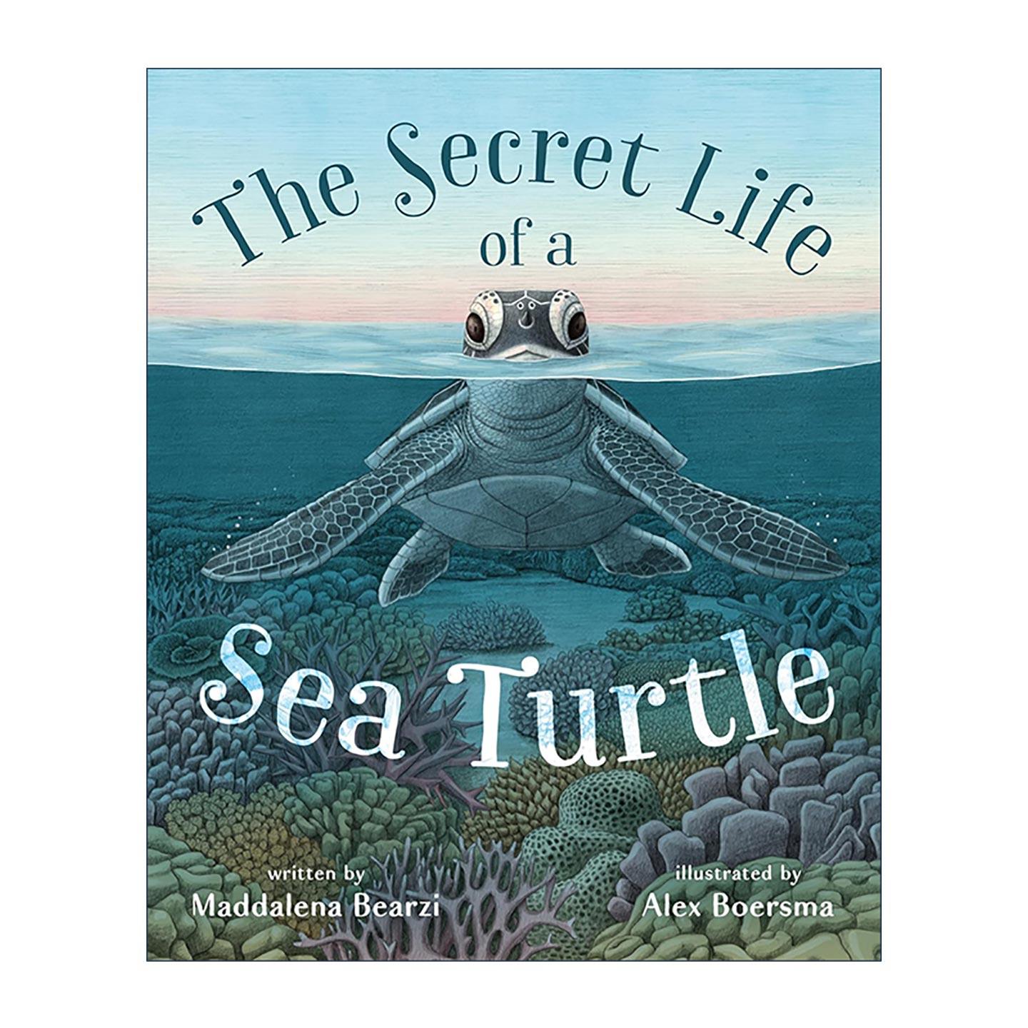 英文原版 The Secret Life of a Sea Turtle 海龟的秘密生活 精装图画书 英文版 进口英语原版书籍