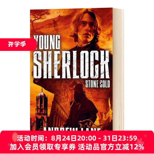 英文原版 Stone Cold Young Sherlock Holmes 少年福尔摩斯7 逻辑推理 青少年章节桥梁书 安德鲁莱恩 英文版