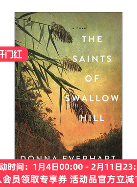 英文原版 The Saints of Swallow Hill 燕子山的圣徒 大萧条时期历史小说 Donna Everhart 英文版 进口英语原版书籍