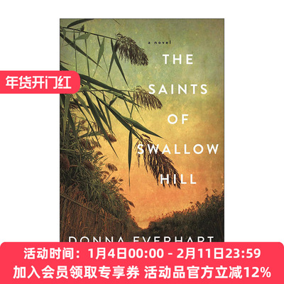 英文原版 The Saints of Swallow Hill 燕子山的圣徒 大萧条时期历史小说 Donna Everhart 英文版 进口英语原版书籍