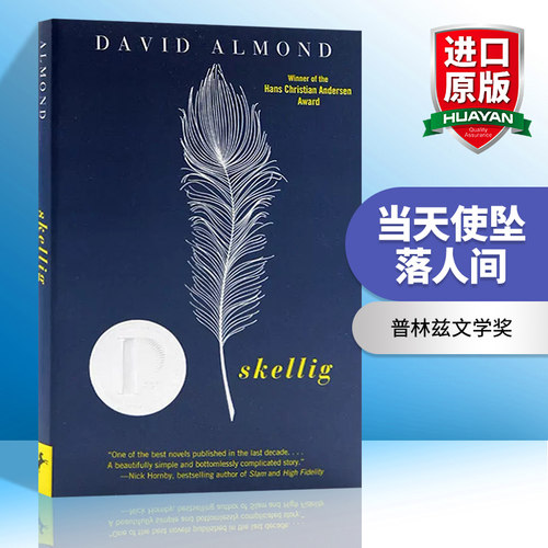 当天使堕落人间英文青少年文学