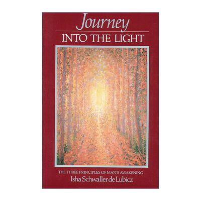 英文原版 Journey into the Light 光明之旅 人类觉醒的三个原则 Isha夫人 英文版 进口英语原版书籍