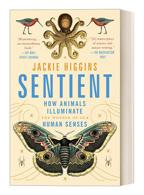 感官 英文原版 Sentient 动物如何照亮我们人类感官的奇迹 英文版 进口英语原版书籍