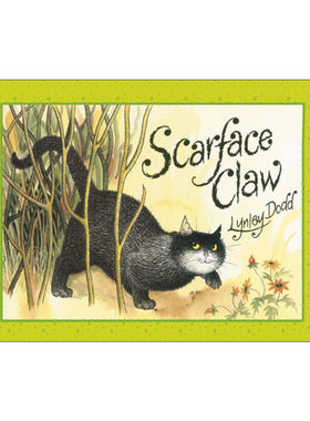 英文原版 Scarface Claw 疤面猫 新西兰作家Lynley Dodd经典儿童绘本 英文版 进口英语原版书籍