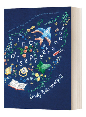 消失 英文原版 The Disappearances Emily Bain Murphy 英文版 进口英语原版书籍