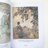 Dulac's Fairy Tale Illustrations in Full Color the most influential illustrator of children's books in the early 20th century thumbnail 4