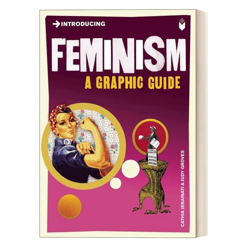 英文原版女性主义图解指南