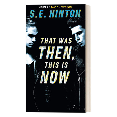 英文原版 That Was Then This Is Now 此一时 彼一时 青少年友谊主题小说 局外人作者S. E. Hinton 简装 英文版 进口英语原版书籍