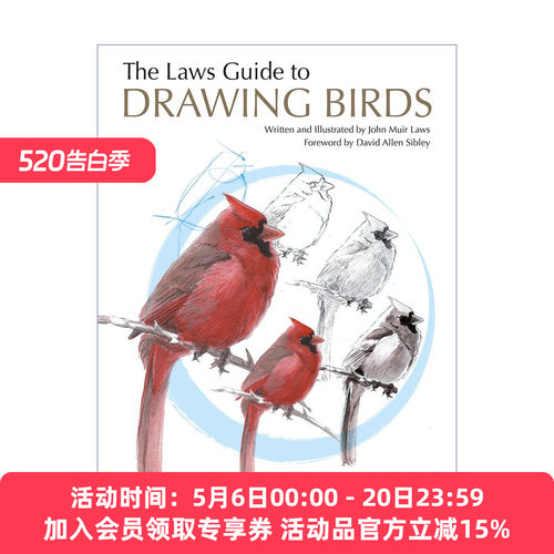 鸟类绘画的第一堂课 英文原版 The Laws Guide to Drawing Birds 美国自然学家约翰劳斯赏鸟与画鸟指南 John Muir Laws 进口英语书