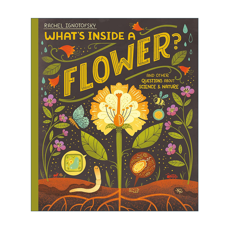英文原版 What's Inside a Flower 花的里面有什么与其他关于科学与自然的问题 儿童科普百科精装 英文版 进口英语原版书籍