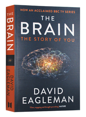 大脑的故事 英文原版 The Brain The Story of You 深入大脑 大卫伊格曼 英文版 进口原版英语书籍