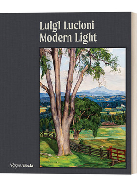 英文原版 Luigi Lucioni Modern Light 意大利裔美国画家 路易吉·卢西奥尼 现代之光 精装艺术画册 David Brody 英文版 进口书籍