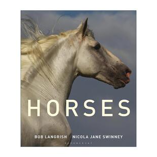Nicola Horses 精装 英文原版 Jane 进口英语原版 给马爱好者 英文版 马之百科 书籍 指南 Swinney 插图版