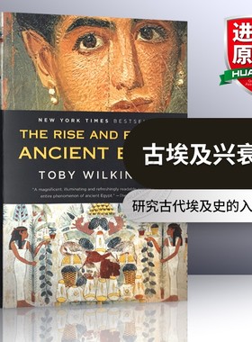 古埃及兴衰史 英文原版 The Rise and Fall of Ancient Egypt 英文版进口历史书籍正版 Toby Wilkinson