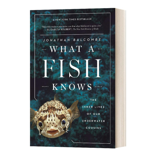 英文原版 What A Fish Knows 鱼知道什么 英文版 进口英语原版书籍