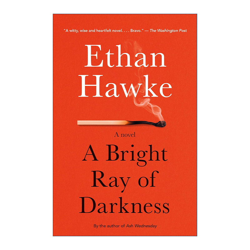 英文原版 A Bright Ray of Darkness Vintage Contemporaries 黑暗之光 爱在黎明破晓前主演Ethan Hawke伊桑·霍克 进口英语书籍 书籍/杂志/报纸 文学小说类原版书 原图主图