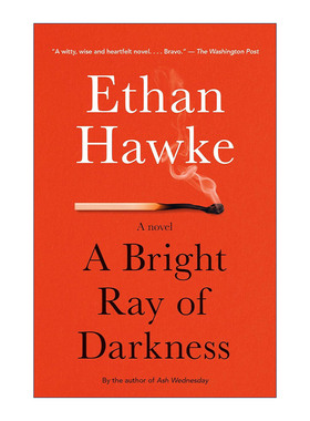 英文原版 A Bright Ray of Darkness Vintage Contemporaries 黑暗之光 爱在黎明破晓前主演Ethan Hawke伊桑·霍克 进口英语书籍