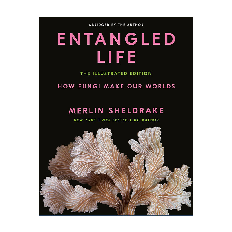 英文原版 Entangled Life 真菌微宇宙 纠缠的生命 真菌如何创造我们的世界 插图版 Merlin Sheldrake 精装 英文版 进口英语原版书