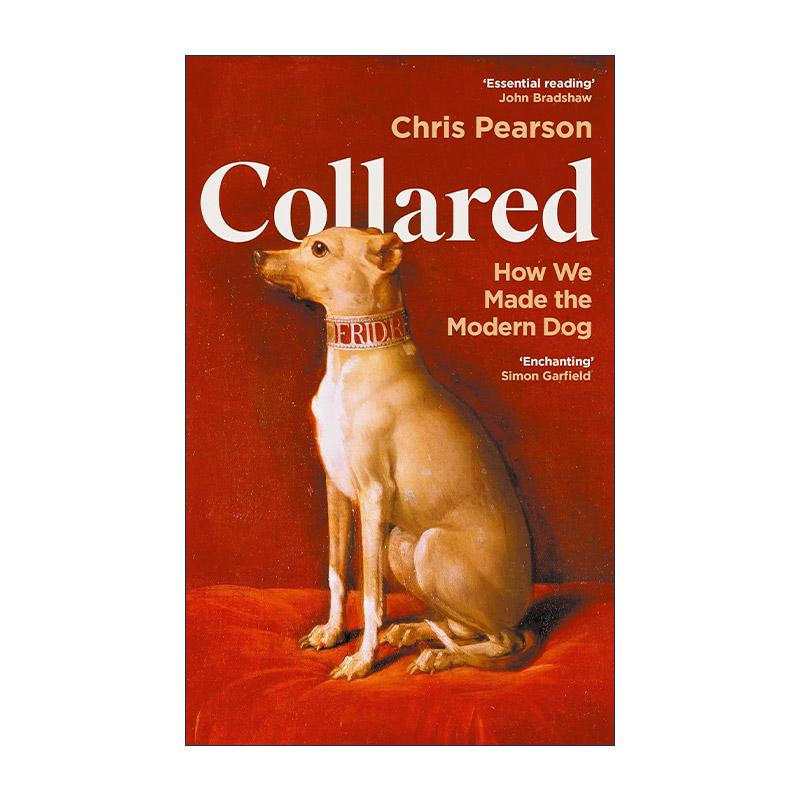 英文原版 Collared 戴上项圈 人类如何塑造狗 精装 英文版 进口英语原版书籍