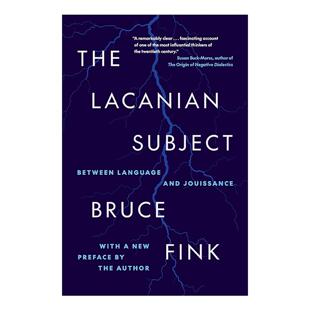 英文原版 The Lacanian Subject 拉康式主体 在语言与享乐之间 布鲁斯·芬克 英文版 进口英语原版书籍