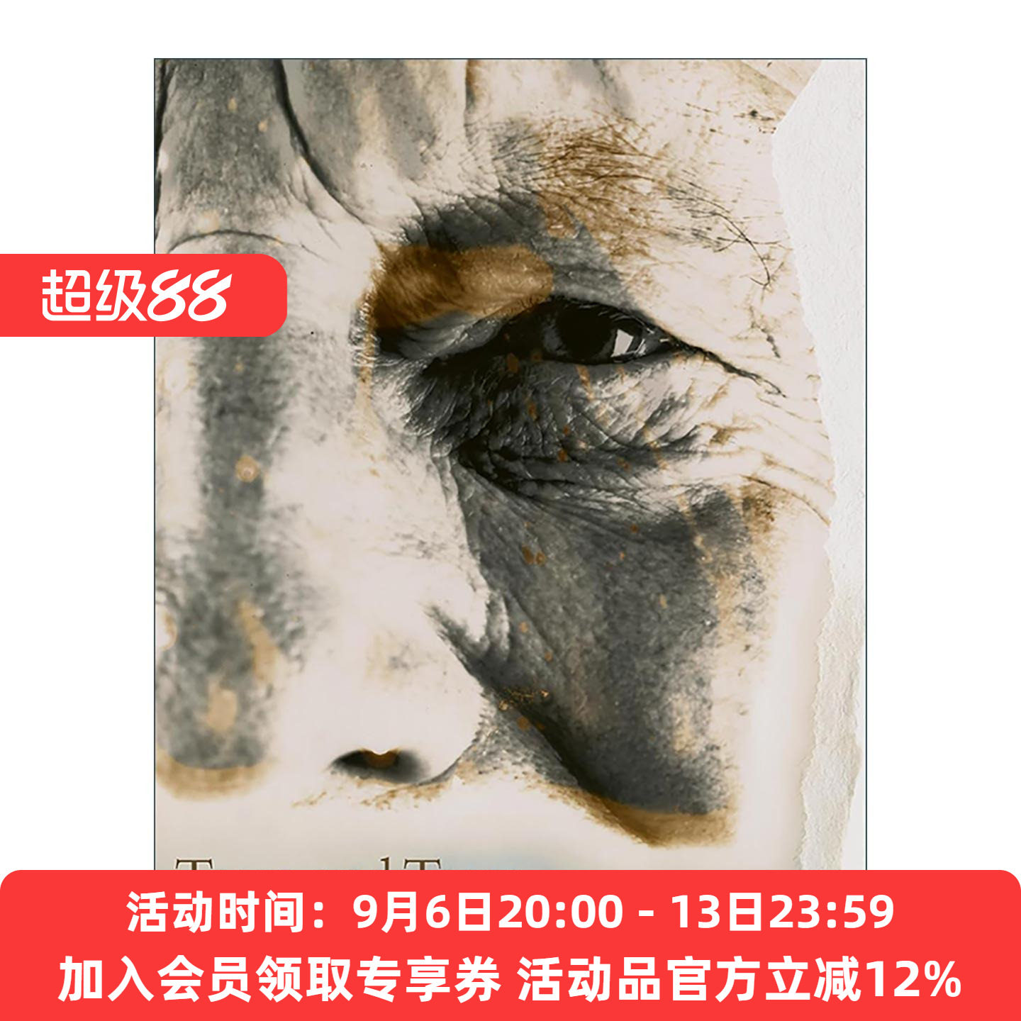 英文原版 David Bailey Tears and Tears 大卫·贝利 撕裂 摄影画册作品集精装 英文版 进口英语原版书籍