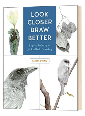 看得更近 英文原版 Look Closer  Draw Better 画得更好 写实绘画的专家技术 英文版 进口英语原版书籍