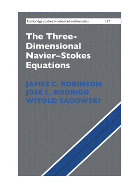 英文原版 The Three-Dimensional Navier–Stokes Equations 三维Navier-Stokes纳维-斯托克斯方程 精装 英文版 进口英语原版书籍