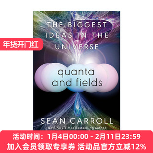 英文原版 Quanta and Fields 量子与场 物理学 大图景作者Sean Carroll肖恩·卡罗尔 精装 英文版 进口英语原版书籍