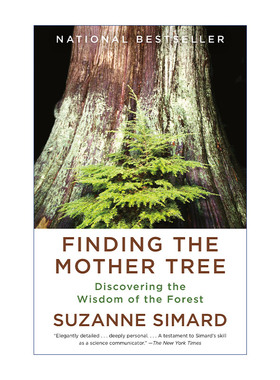 森林之歌  英文原版 Finding the Mother Tree 寻找母树 发现森林的智慧 Suzanne Simard 英文版 进口英语原版书籍
