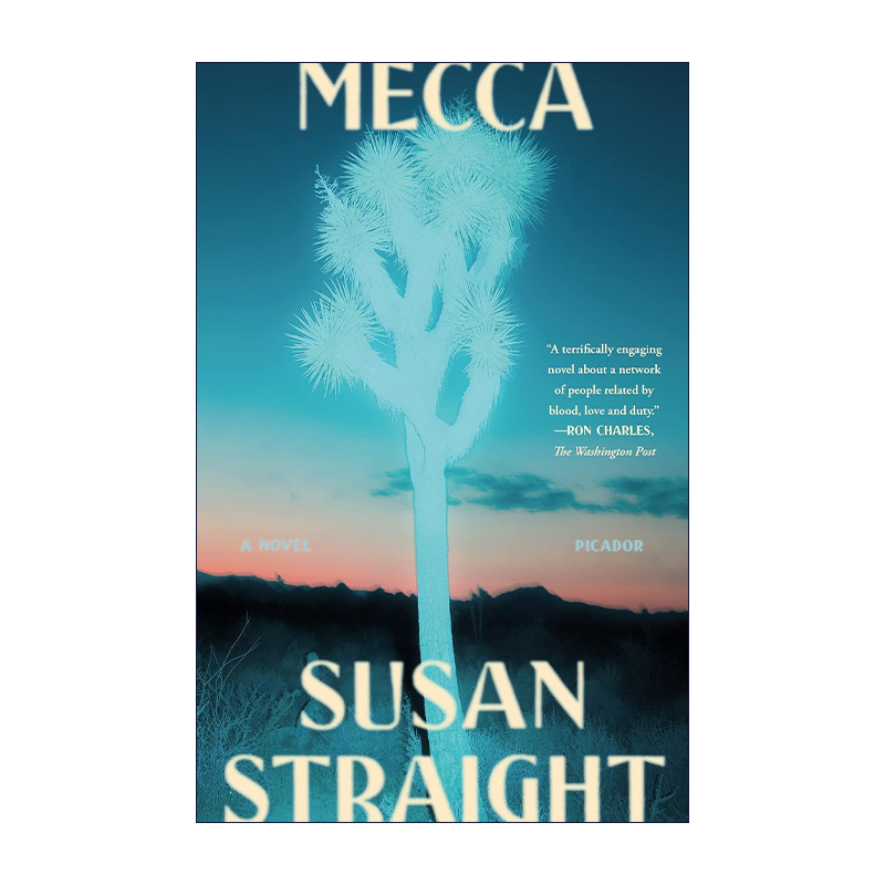 英文原版 Mecca 麦高 华盛顿邮报2022年年度图书 英文版 进口英语原版书籍